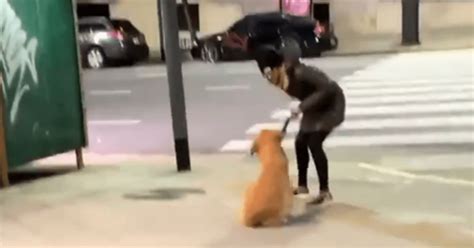 mujer pegada a un perro